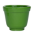 Verde Musgo