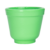 Verde Menta