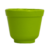 Verde Limão