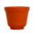 Laranja