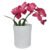 Branco Cymbidium